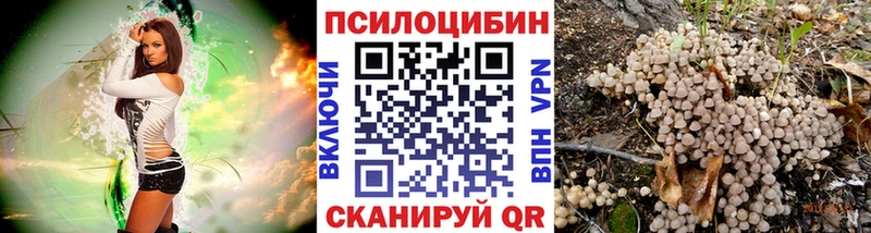 Псилоцибиновые грибы GOLDEN TEACHER  Купить  Когалым 